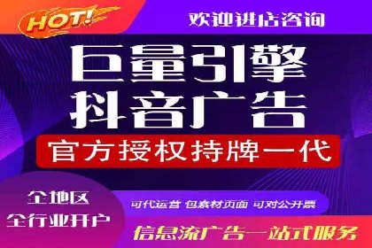 SEM公司成功案例分享：搜索引擎优化的力量